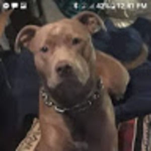 Meet your Posher, Stephen